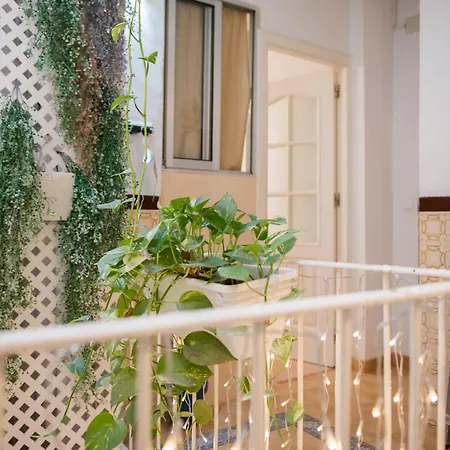 Habitación en casa particular La Casa De Flores